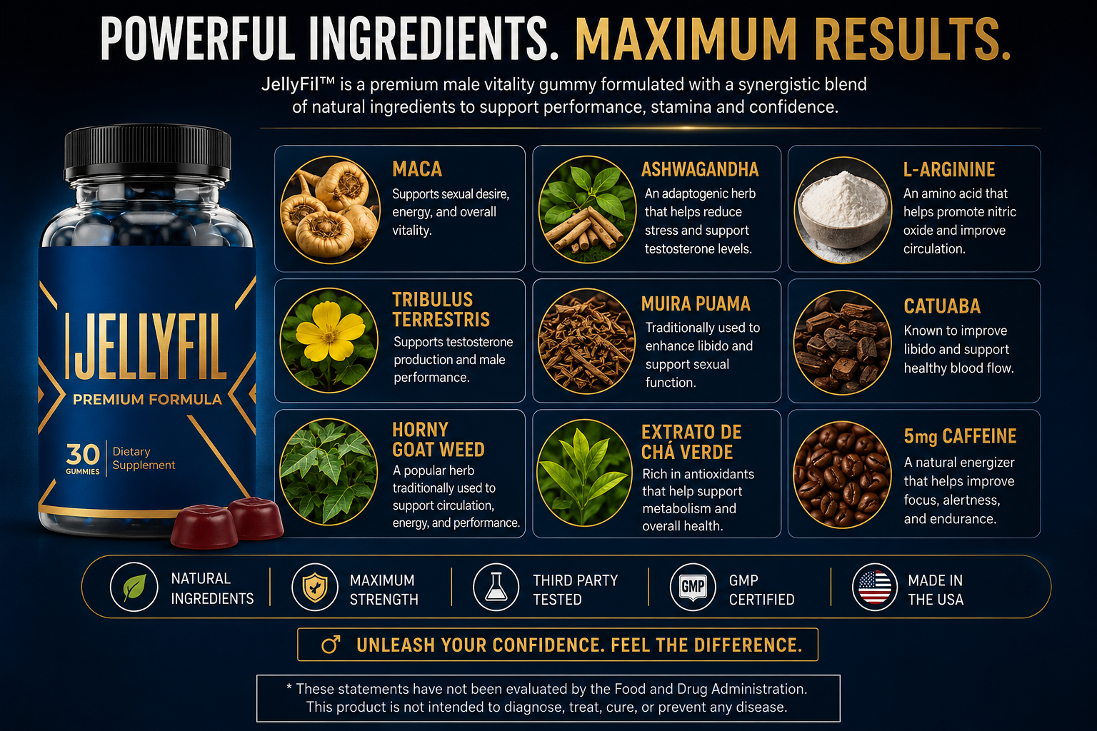 JellyFil ingredients overview